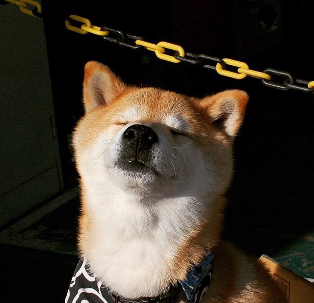 英超球队基于位置数据优化高强度逼抢策略，英超球队规则