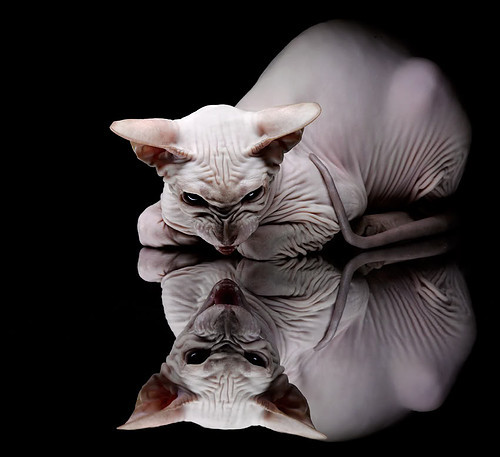 九游下载官网-亚洲杯中国青年队惨败 球迷呼吁加强基础训练，亚洲青年杯积分榜