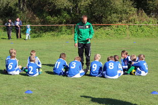 九游下载官网-澳大利亚队如何通过团队赛制战术，在大赛中脱颖而出，澳大利亚队伍